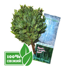 Берёзовый свежий замороженный веник для бани, от 5 шт. Веники, подарки для бани, бани-палатки и сауны. Магазин Моби баня